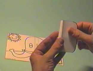 elefante2.jpg (15362 byte)