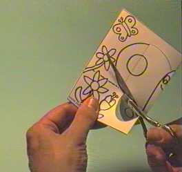 farfalla3.jpg (18391 byte)
