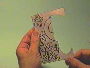 farfalla5.jpg (14631 byte)