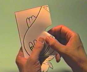 pesce4.jpg (16352 byte)
