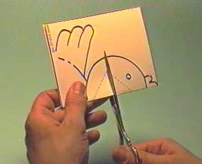 pulcino2.jpg (16087 byte)