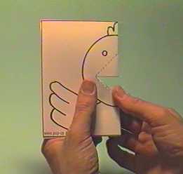 pulcino3.jpg (17027 byte)